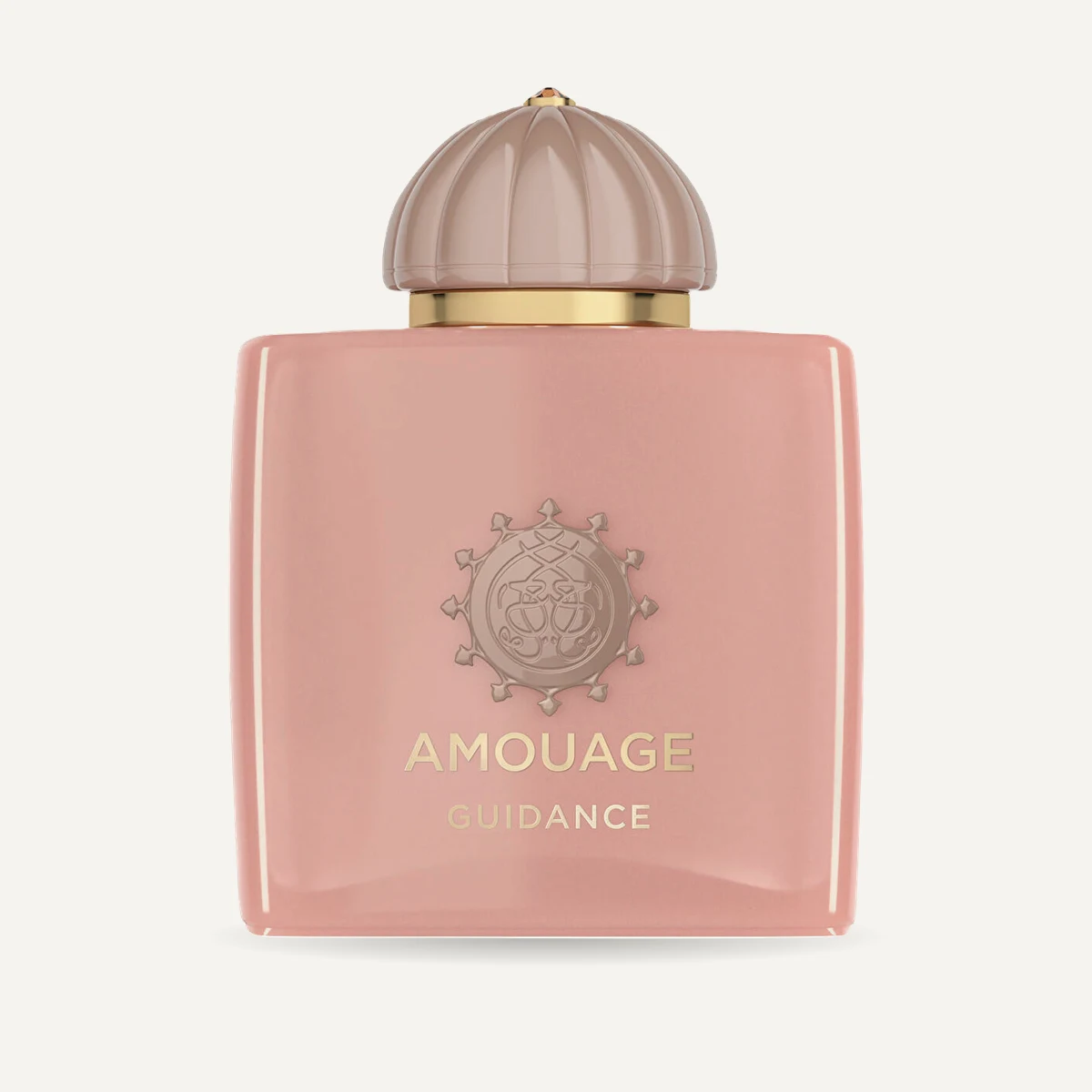 Amouage Guidance